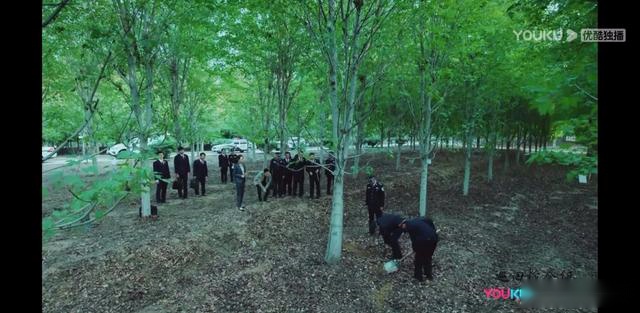 巡回检察组：小树林发现苗苗尸体，真正的高潮泪点终于来了