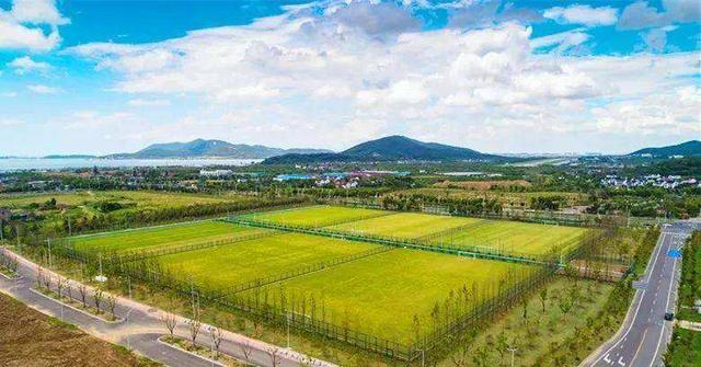 足球大省!江苏将承办中国四大联赛,足球基础设施已走全国前列