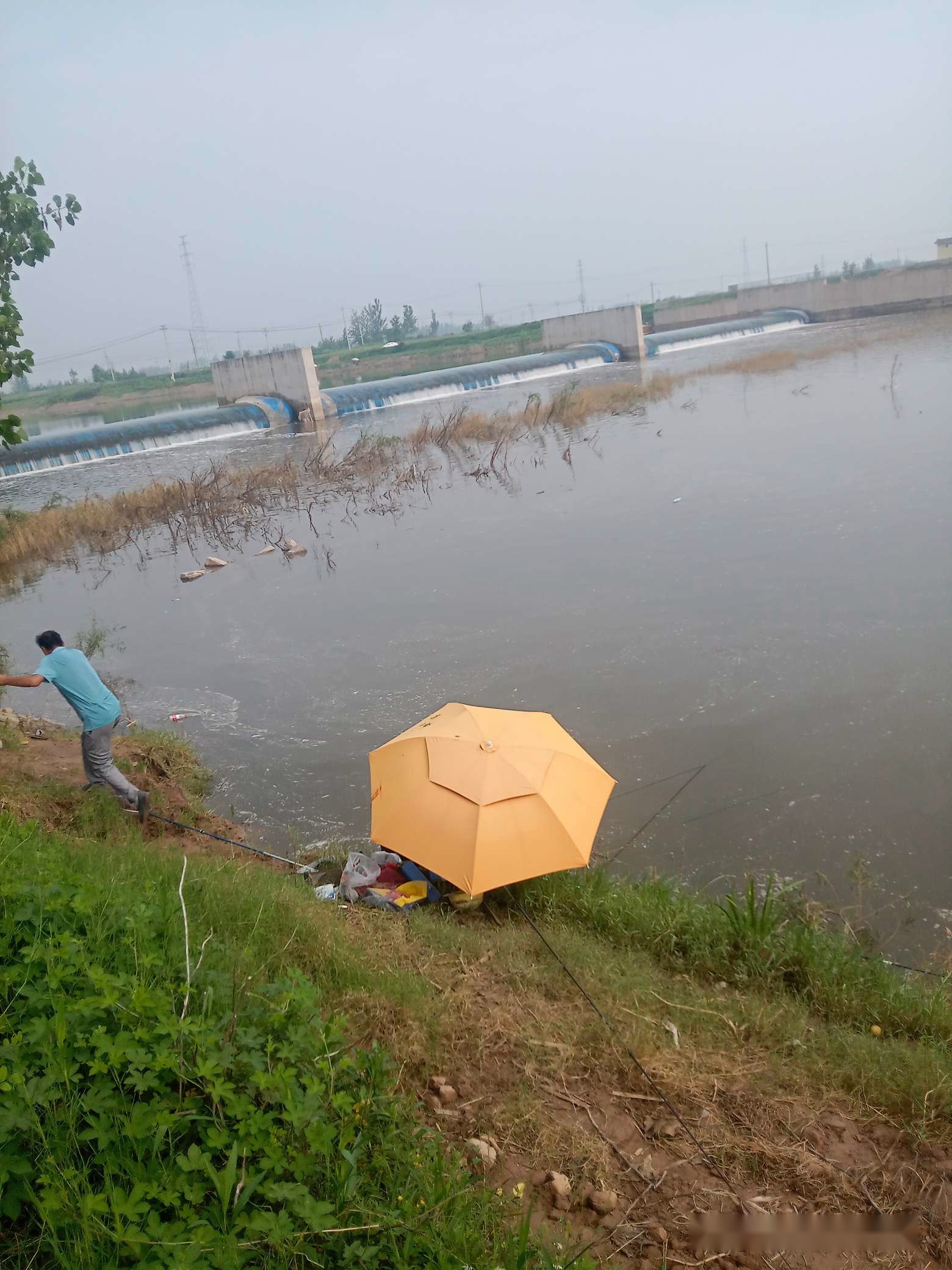 「7月鱼获」耐住性子守鲤鱼，还怕它不上钩？