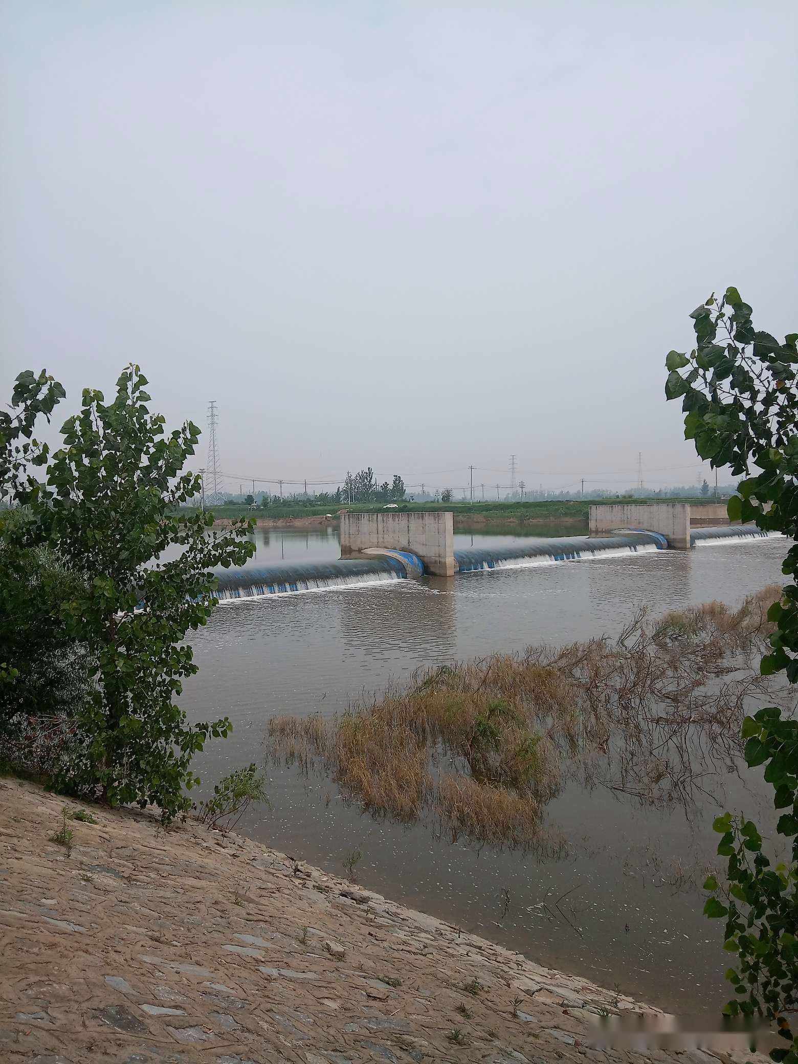 「7月鱼获」耐住性子守鲤鱼，还怕它不上钩？