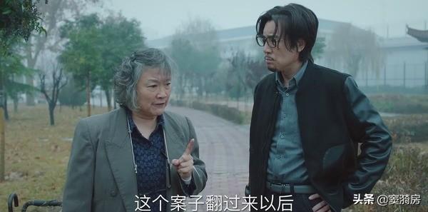 巡回检察组：多线齐发，最后形成闭合圆环，背后有人下一盘大棋