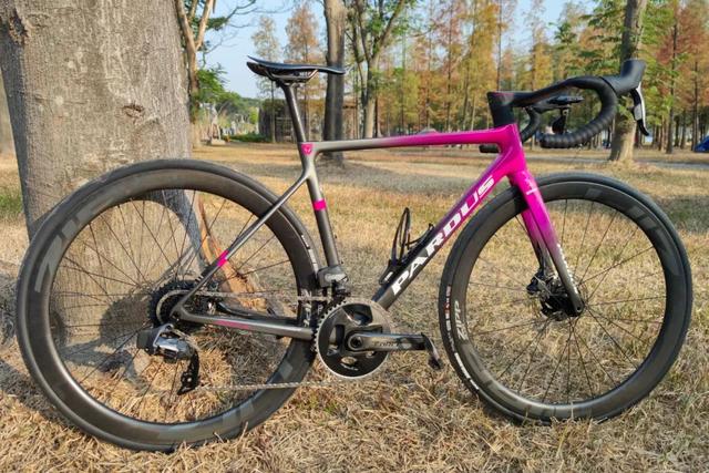 「知更鸟涅槃」瑞豹Pardus Robin Evo尝鲜报告