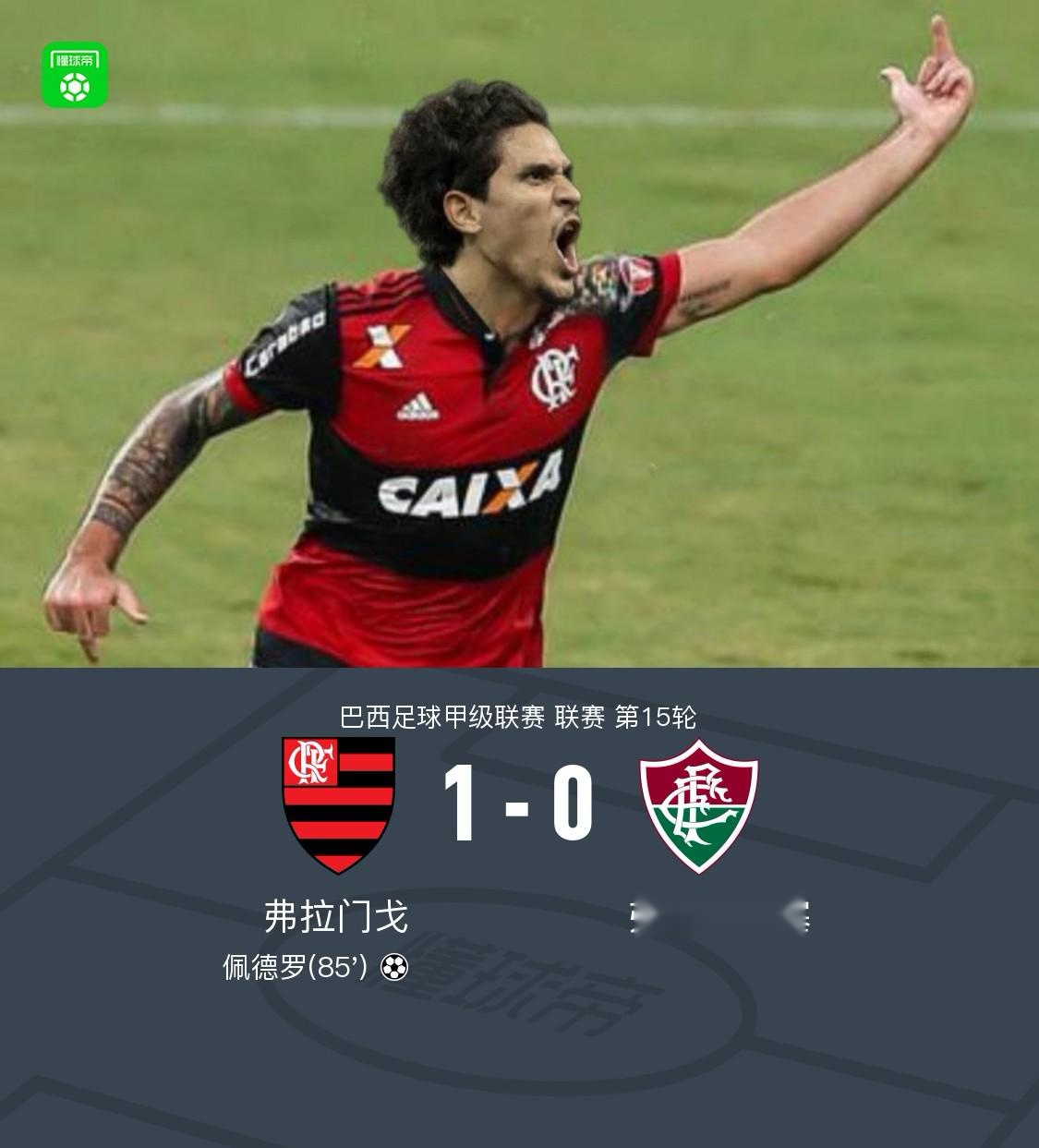 弗拉门戈1-0弗鲁米嫩塞，佩德罗绝杀 (http://www.busunion.cn/) xiami 第1张