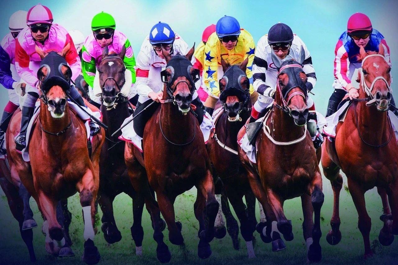 赛马概念破产！罗牛山：赛马小镇至今未动工，项目备案随时会被删库