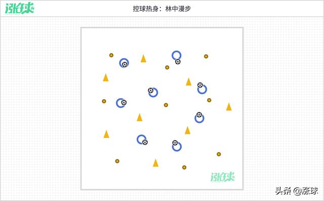 「第10周」运球、协调、灵敏与射门 (意大利青训学院U8训练计划)