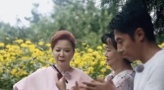 众星鼓励朱婷！朱广权即兴押韵，倪萍快哭了，撒贝宁蔡明发声