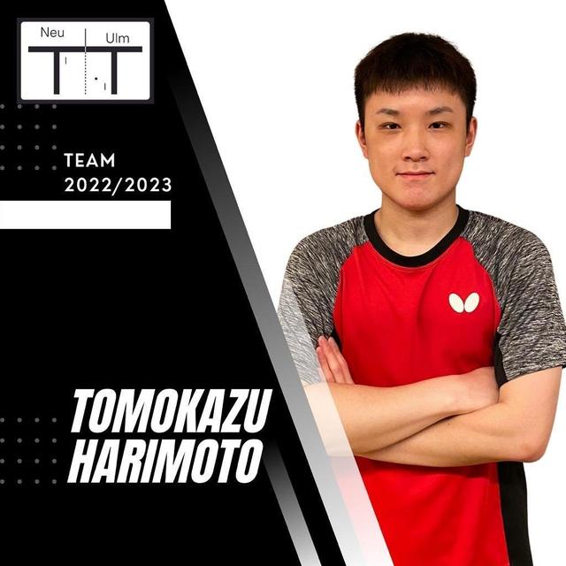 再见日本，张本智和加盟德甲！华裔天才暂缓学业，力争挑战樊振东