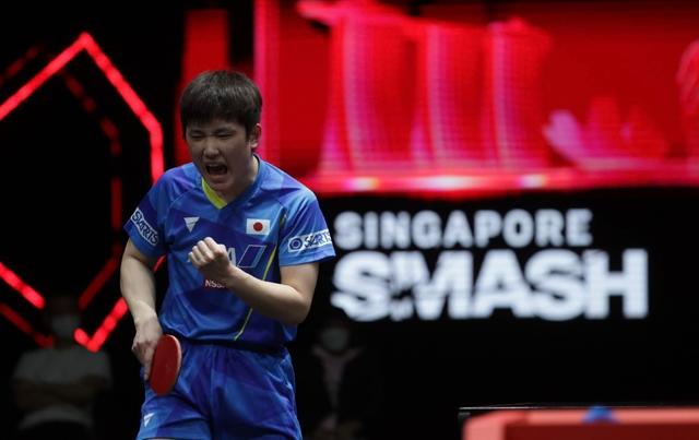 再见日本，张本智和加盟德甲！华裔天才暂缓学业，力争挑战樊振东