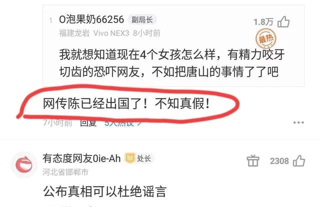 难逃法网！造谣者被找上门，陈继志插翅难逃，石家庄互殴警情通报