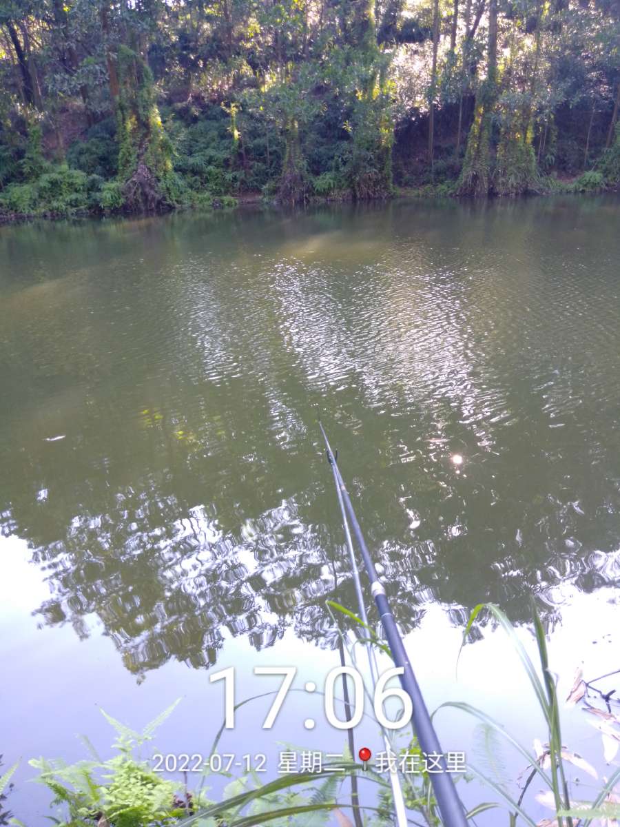 「七月鱼获」独自试战野坑，坚持不走空路