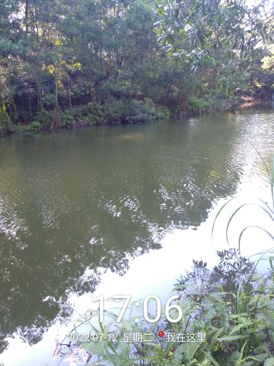 「七月鱼获」独自试战野坑，坚持不走空路