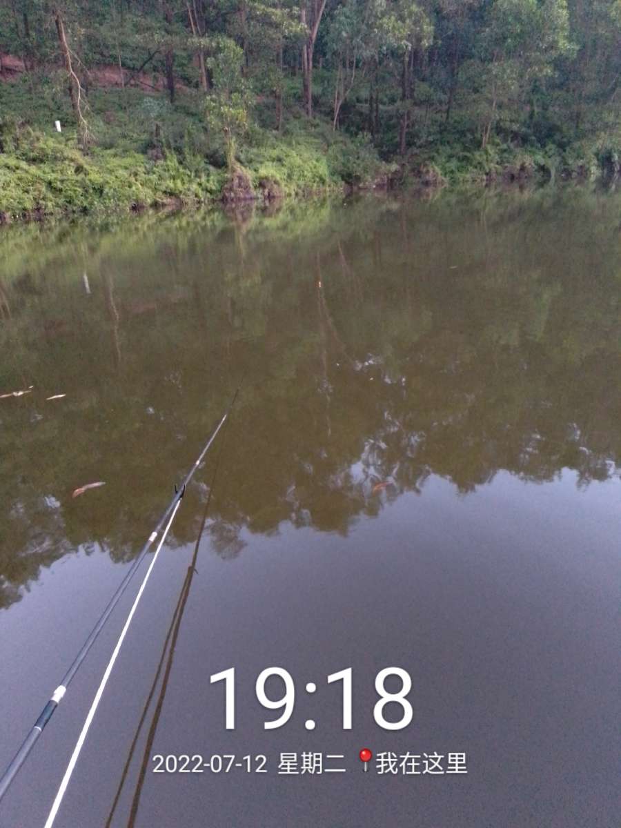 「七月鱼获」独自试战野坑，坚持不走空路