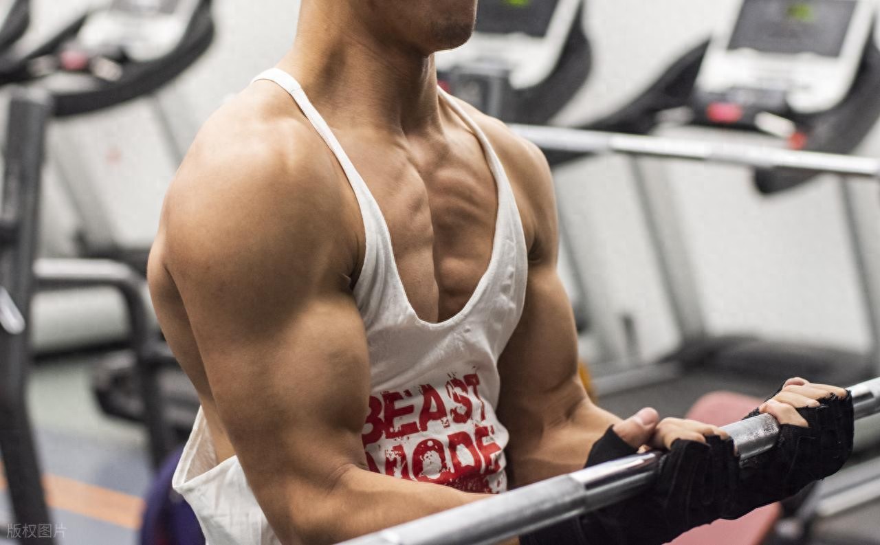 8个涨肌肉大实话，做到的人，肌肉生长速度翻倍！ (http://www.tiidu.cn/) 娱乐 第1张