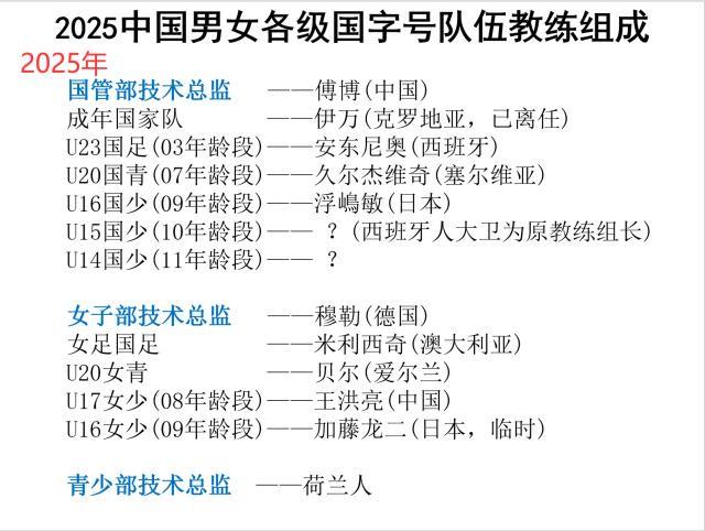 马德兴：足协要先选技术总监，然后再让技术总监负责选帅 (https://www.olegood.com/) 体育 第2张