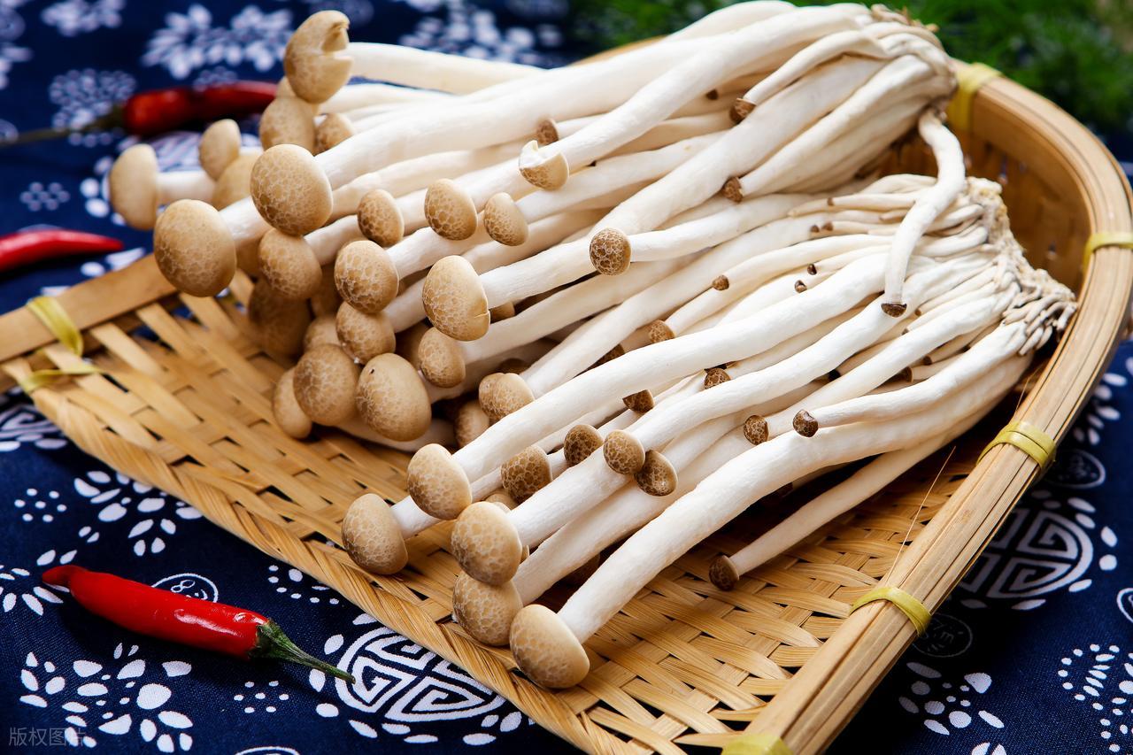 晚餐，多吃这几种碱性食物，隔天体重下降超快 (http://www.busunion.cn/) xiami 第5张