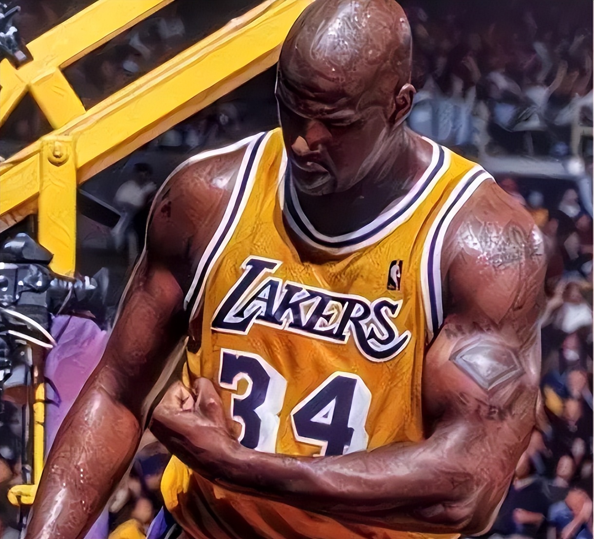 NBA这5人是公认“坦克”身材，他们若联手 总冠军能拿到退役 (http://www.jingganghuifeng.com.cn/) 体育 第2张