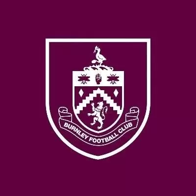 卫报：伯恩利英冠过强英超乏力，预计新赛季排名倒数第一
