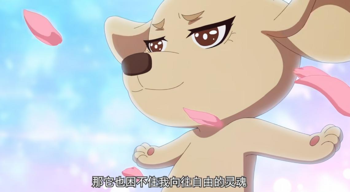 《是王者啊？》四大搞笑名场面盘点，赔钱虎装萌卖身出道 (http://www.busunion.cn/) 体育 第6张
