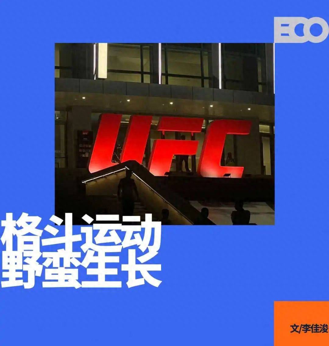 UFC上海站现场，我们看到了赛事经济上行的热 (http://www.jingganghuifeng.com.cn/) 体育 第1张