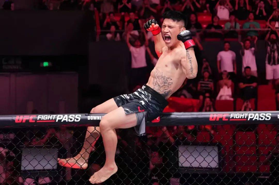 UFC上海站现场，我们看到了赛事经济上行的热 (http://www.jingganghuifeng.com.cn/) 体育 第6张