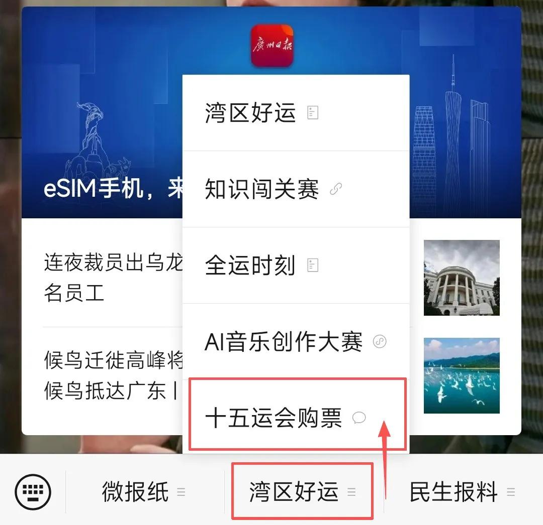 正式开售！十五运会游泳、羽毛球、篮球门票来了 (http://www.busunion.cn/) xiami 第8张