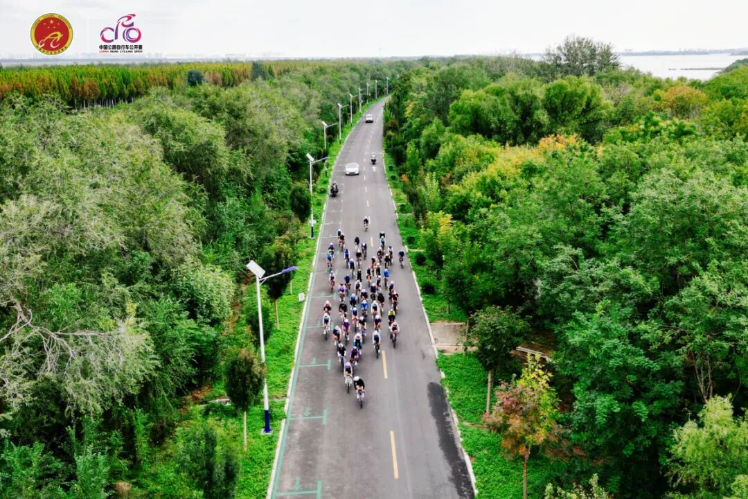 2025中国公路自行车公开赛·衡水站开赛 迹驰-瑞豹再胜一局 (http://www.busunion.cn/) xiami 第8张