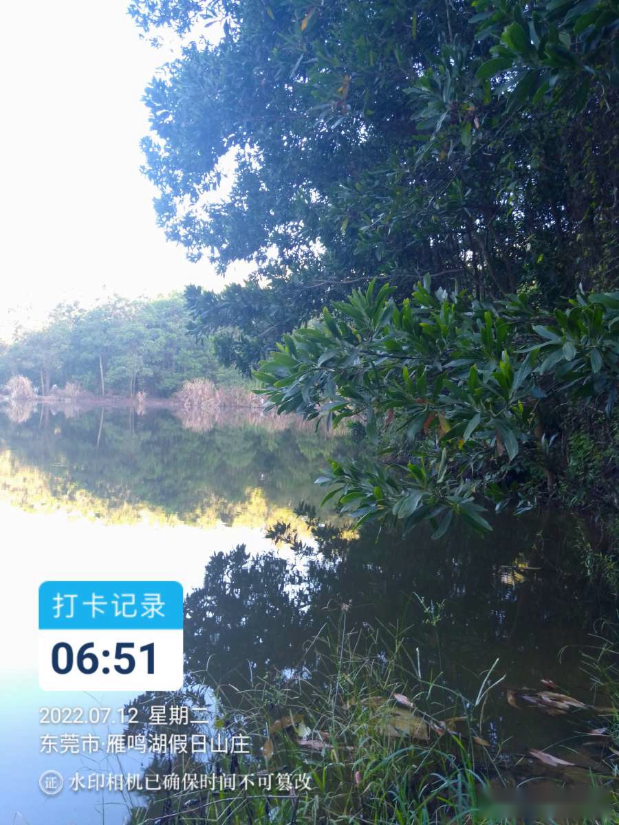 「七月鱼获」独自试战野坑，坚持不走空路