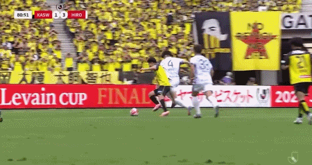 广岛三箭3-1柏太阳神夺冠,热尔曼-良、东俊希建功 pet 第9张-傲来网 广岛三箭3-1柏太阳神夺冠,热尔曼-良、东俊希建功 (https://www.olegood.com/) pet 第9张