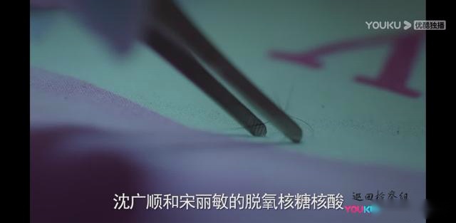 巡回检察组：小树林发现苗苗尸体，真正的高潮泪点终于来了