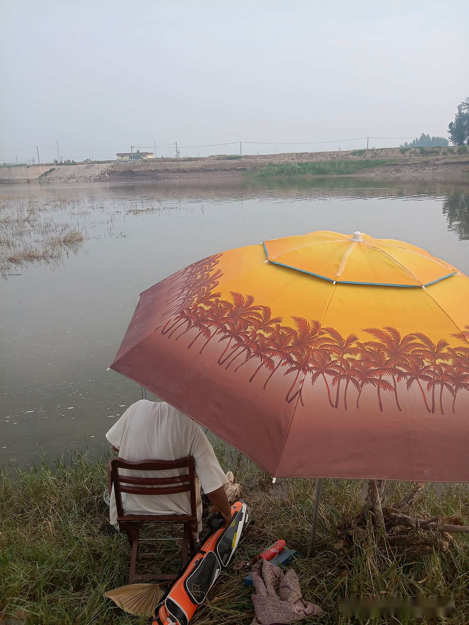 「7月鱼获」耐住性子守鲤鱼，还怕它不上钩？