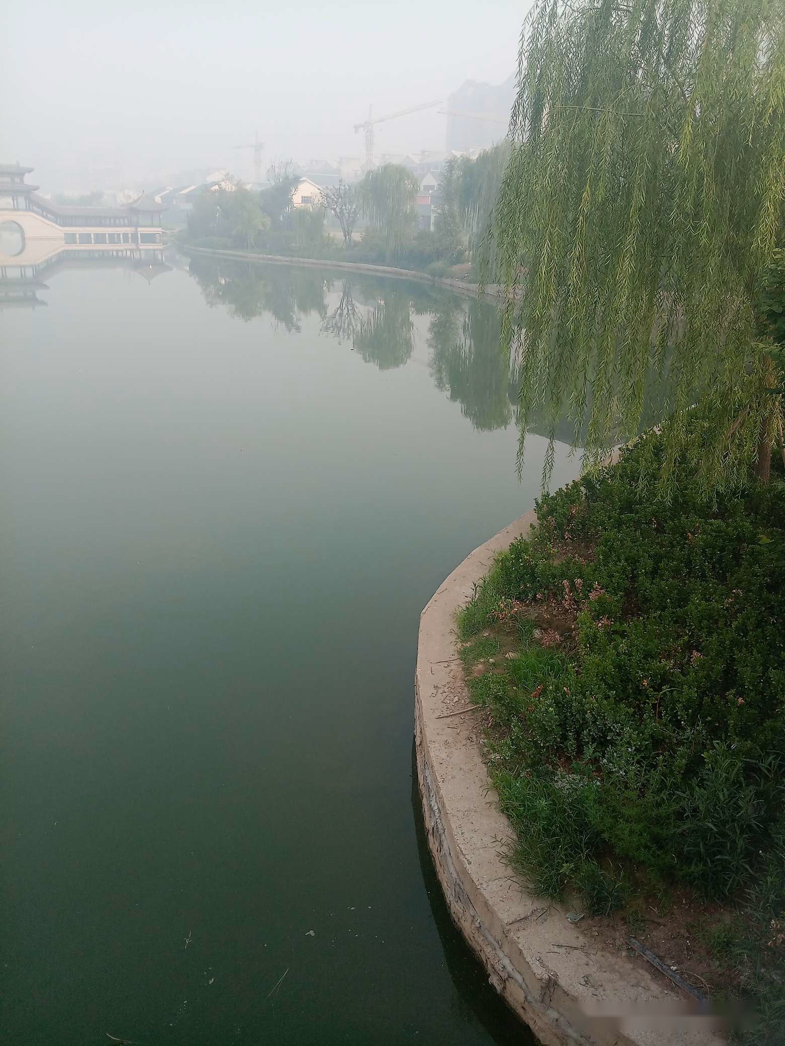 「7月鱼获」耐住性子守鲤鱼，还怕它不上钩？