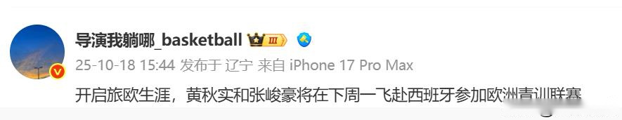 要出发了？曝张峻豪黄秋实下周一启程西班牙，辽宁U22却遭重创！ (http://www.busunion.cn/) xiami 第4张