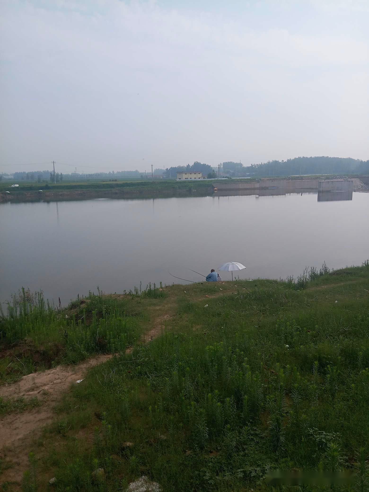 「7月鱼获」耐住性子守鲤鱼，还怕它不上钩？