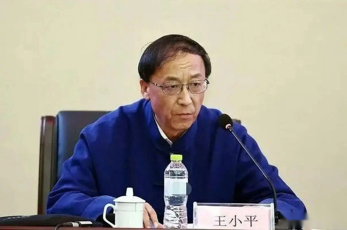 前大连球员朱晓刚：被王小平签字停赛真挺耻辱