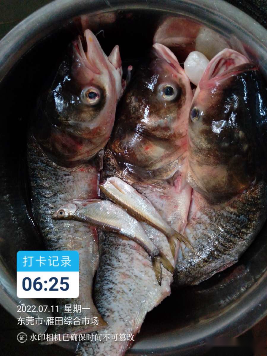 「七月鱼获」独自试战野坑,坚持不走空路