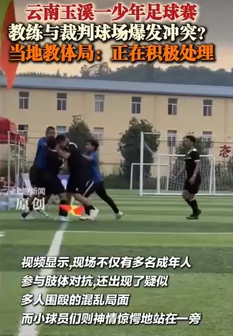 小球员看呆了，青少年足球教练不满判罚动手打裁判
