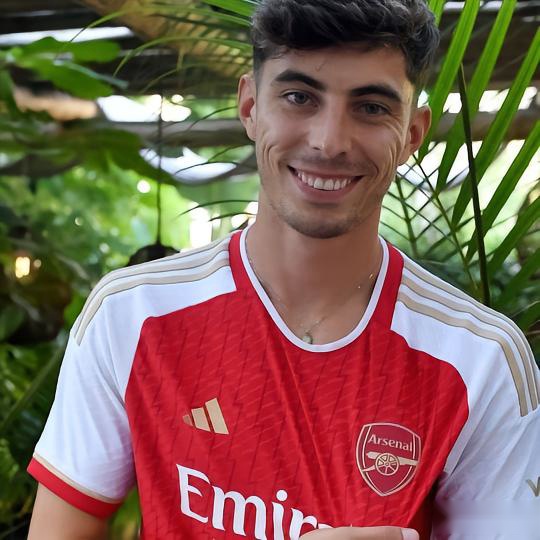 哈弗茨晒照难忘的一天